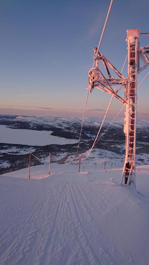 Blasjoens Stugby Stora Blasjon エクステリア 写真