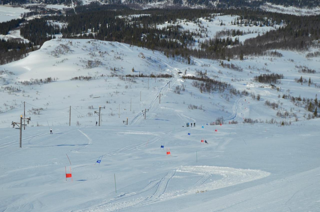 Blasjoens Stugby Stora Blasjon エクステリア 写真